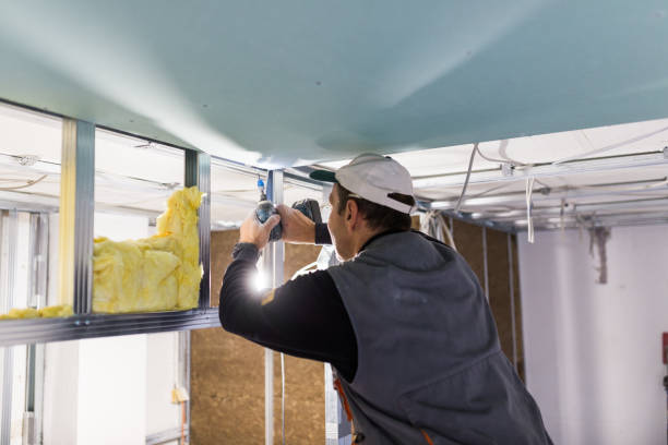 Best Cellulose Insulation in Scottsville, NY