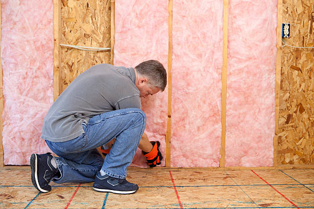 Best Residential Insulation in Scottsville, NY