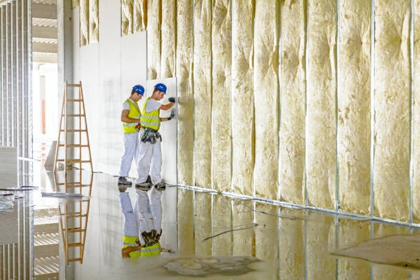 Best DIY Insulation Kits and Guidance in Scottsville, NY
